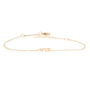 14k itty bitty WTF bracelet