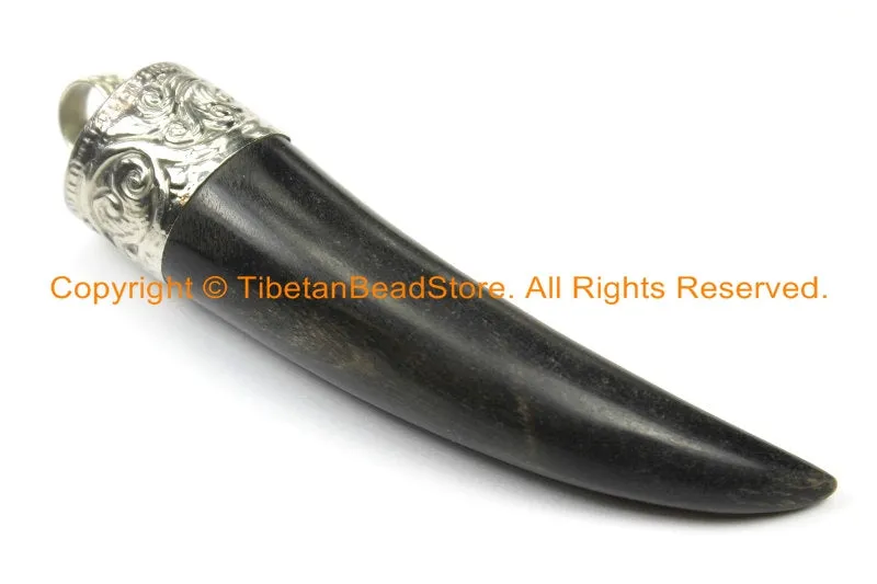 2 PENDANTS Tibetan Horn Pendants with Repousse Hand Carved Tibetan Silver Caps - Boho Ethnic Tribal Tibetan Horns Tusk Tooth - WM6100-2