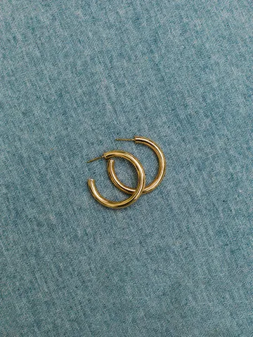 Cameron Gold Shiny Earrings