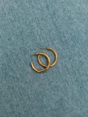 Cameron Gold Shiny Earrings