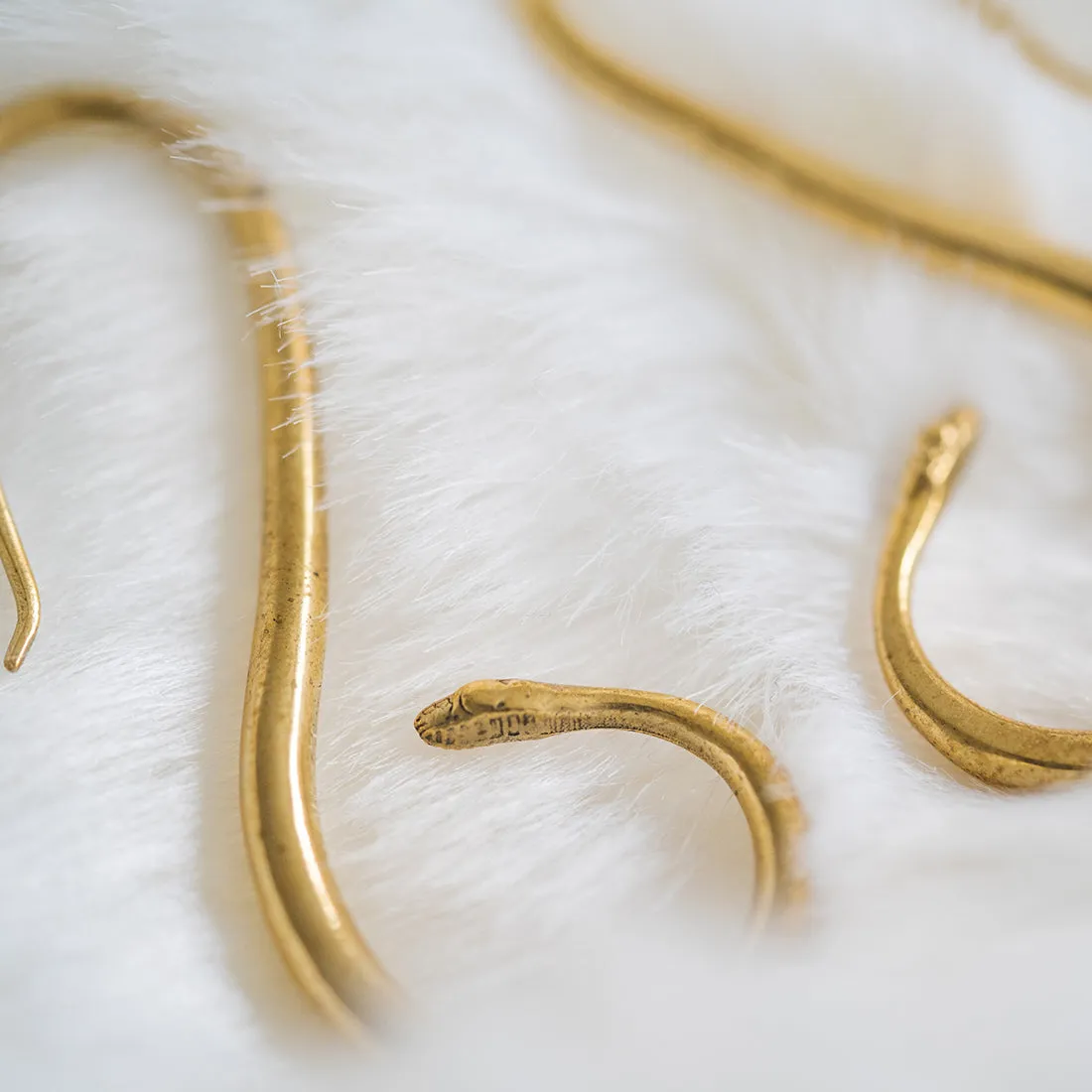 Elegant Snake Earrings