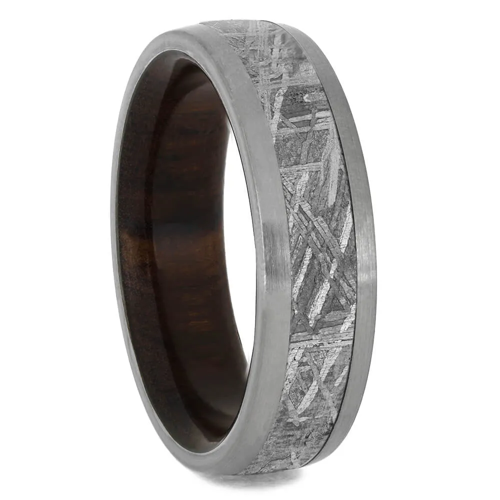 Meteorite Ring With Wood Sleeve in Titanium