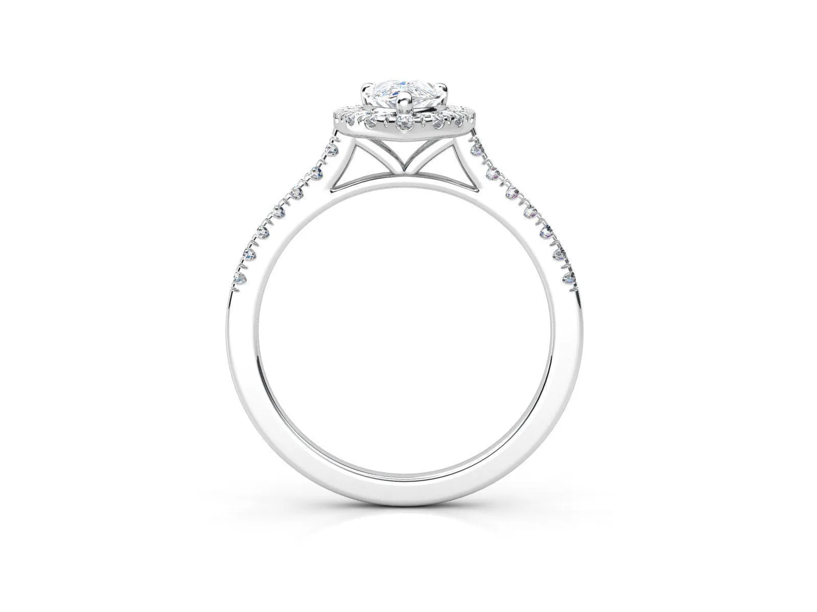 Pear Classic