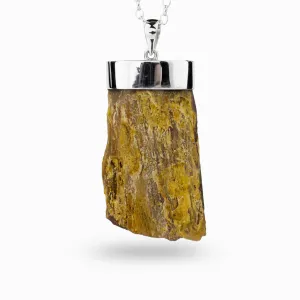 Petrified Wood Necklace