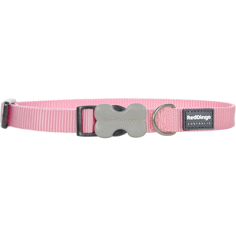 Red Dingo Classic Dog Collar 12mm