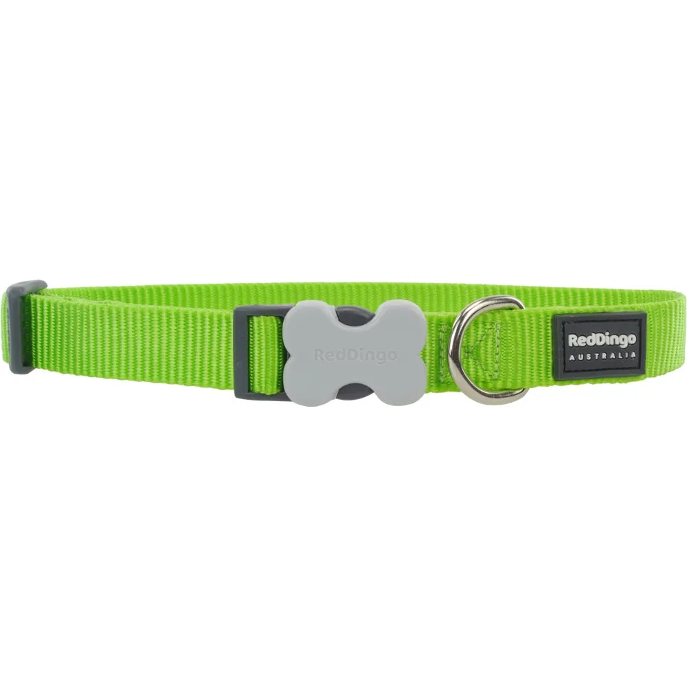 Red Dingo Classic Dog Collar 25mm