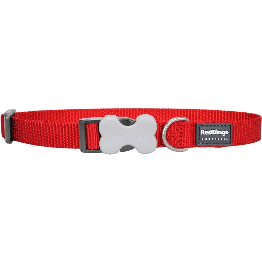 Red Dingo Classic Dog Collar 25mm
