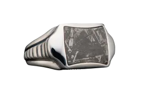 William Henry Sleek Ring - Meteorite