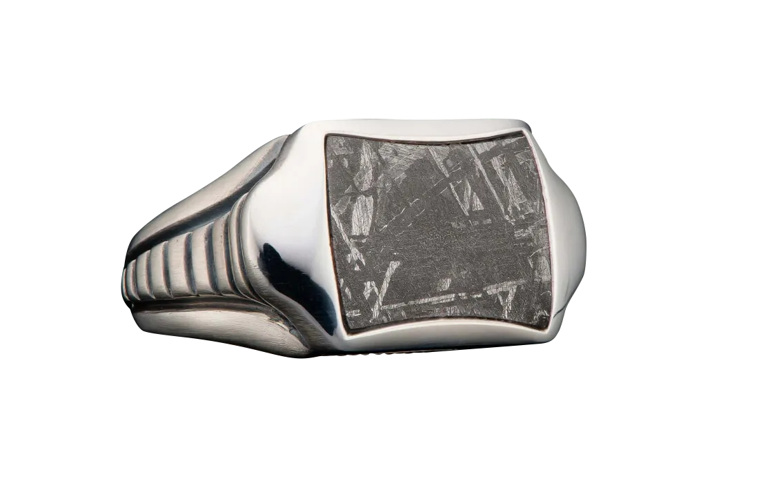 William Henry Sleek Ring - Meteorite